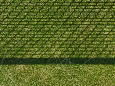 La balle de tennis : De ses origines nobles à son iconique couleur jaune